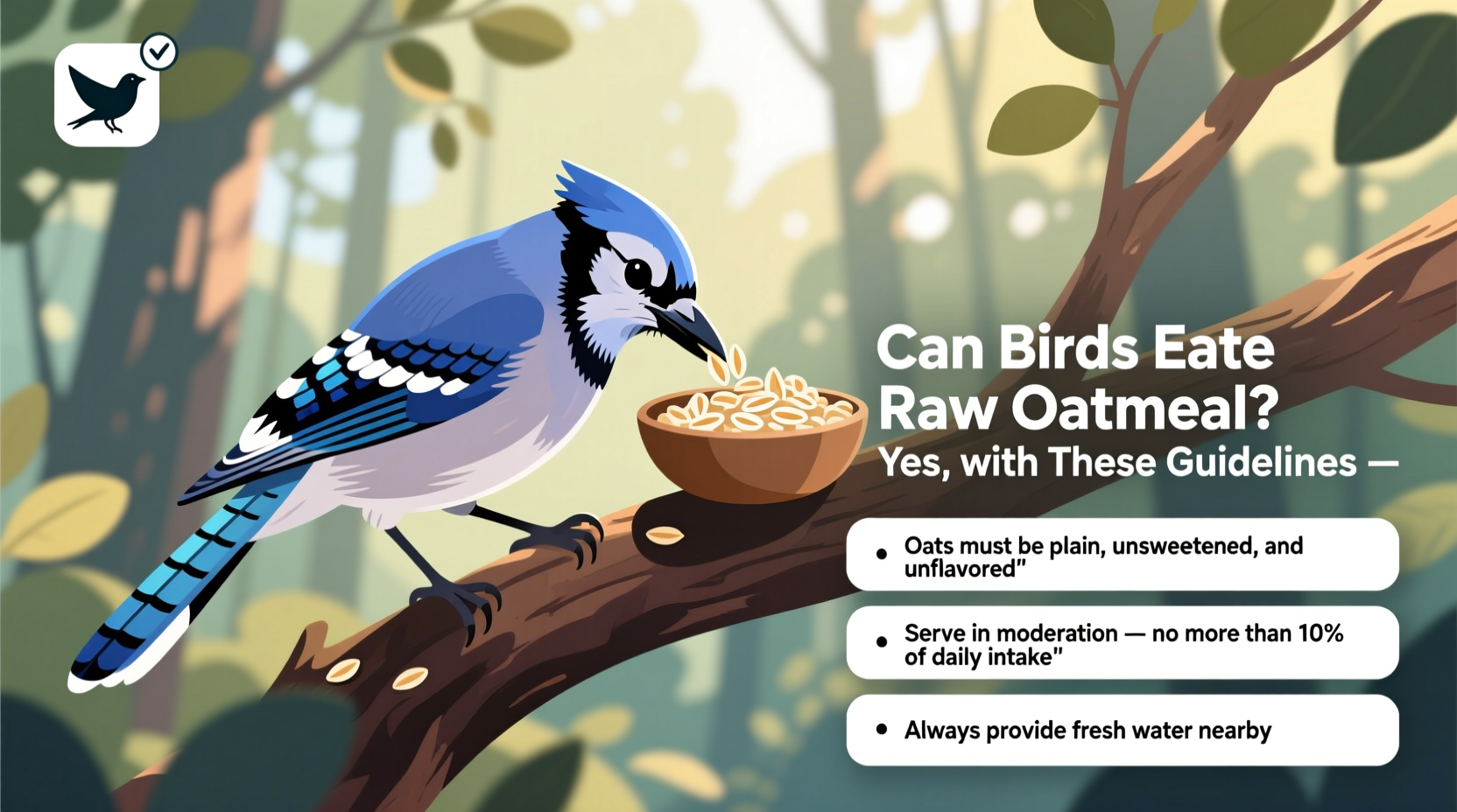 can birds eat raw oatmeal
