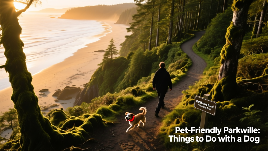 Aerial view of Rathtrevor Beach Provincial Park showing forested trails leading to a wide, sandy shoreline on Vancouver Island