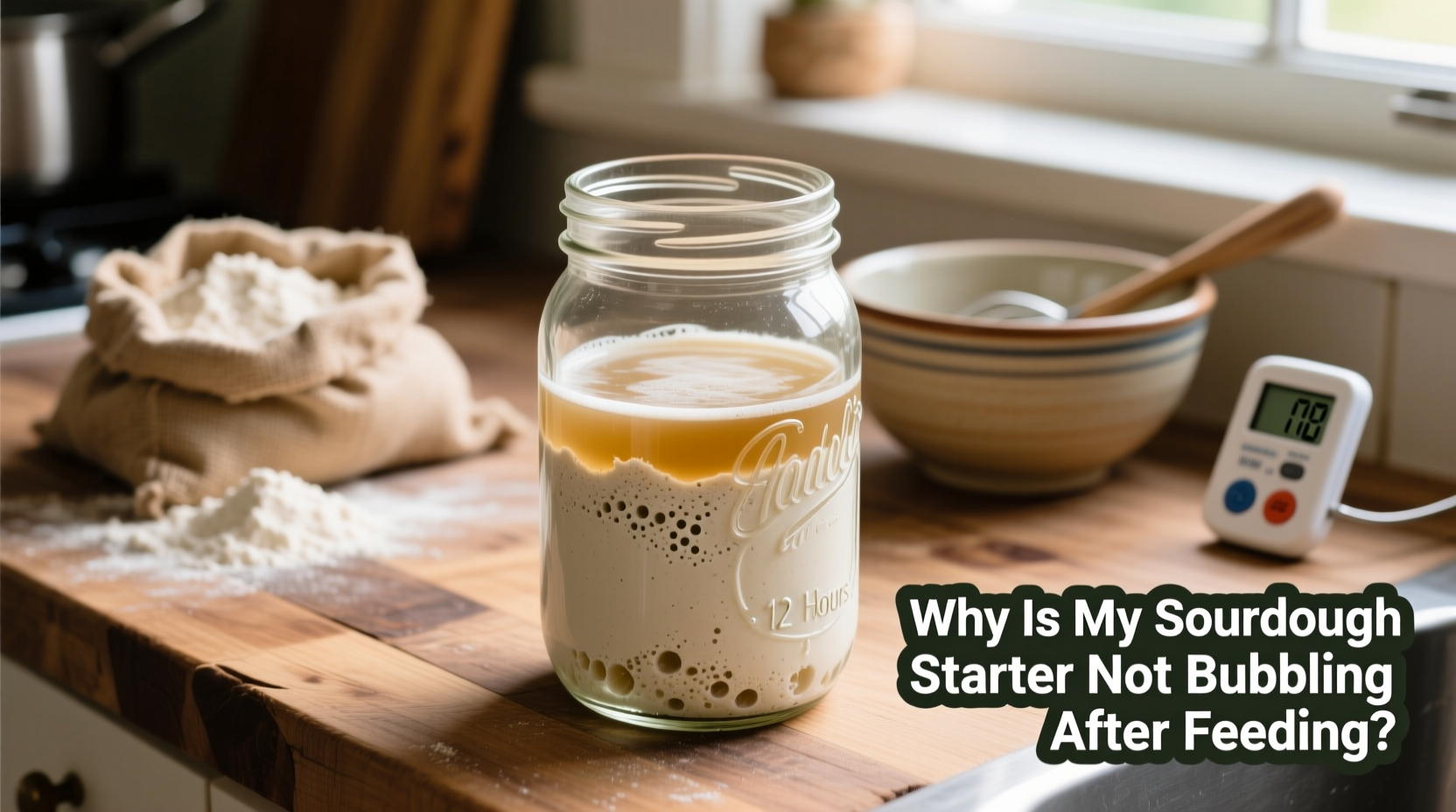 why is my sourdough starter not bubbling after feeding