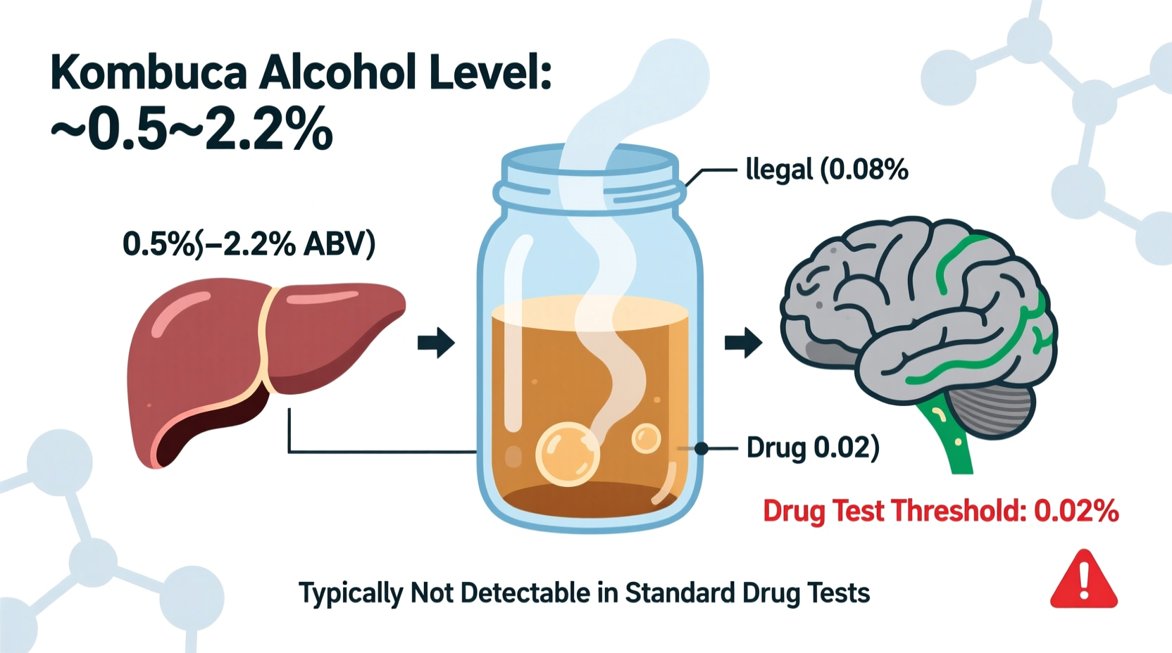 is kombucha alcoholic enough to show up on drug tests