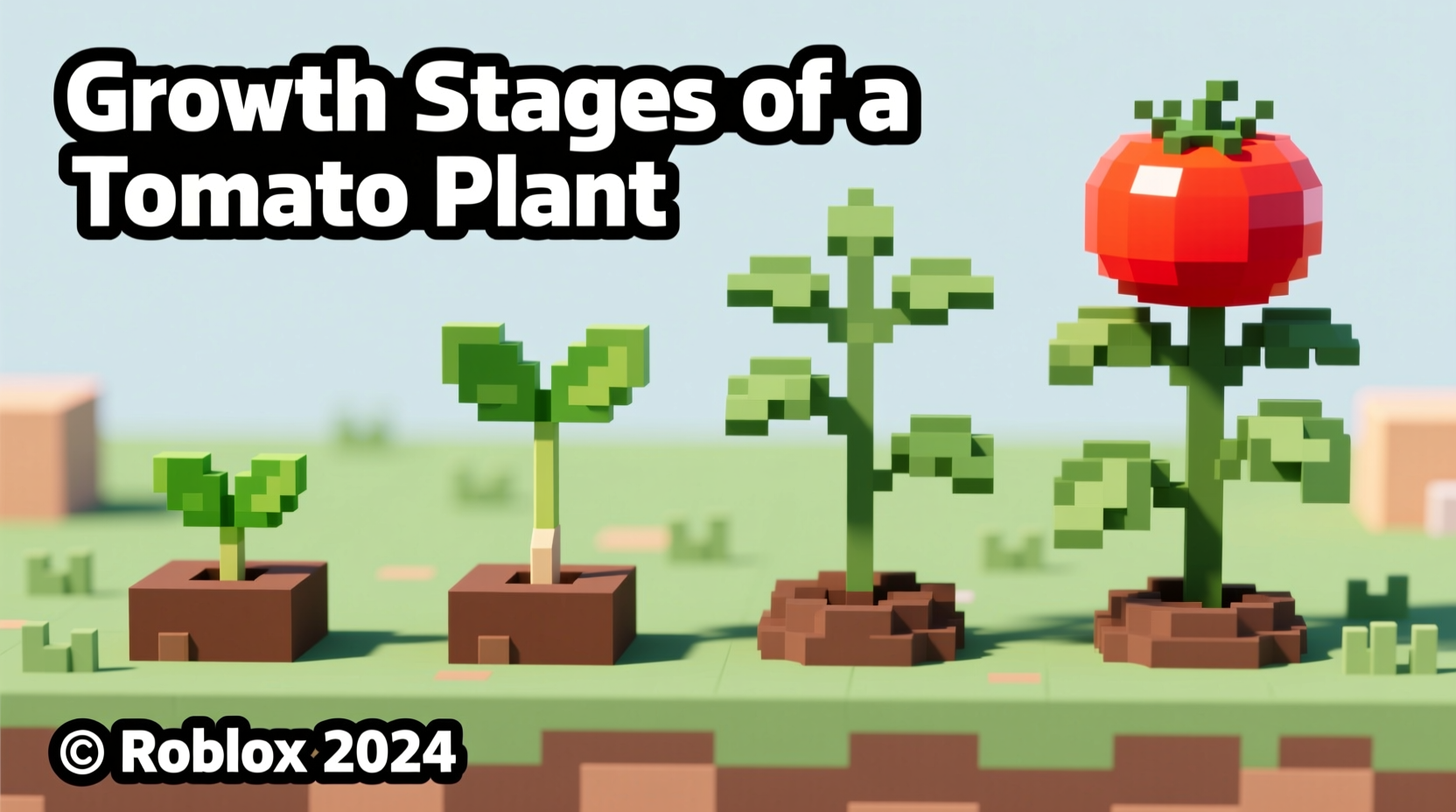 Roblox tomato plant growth stages comparison