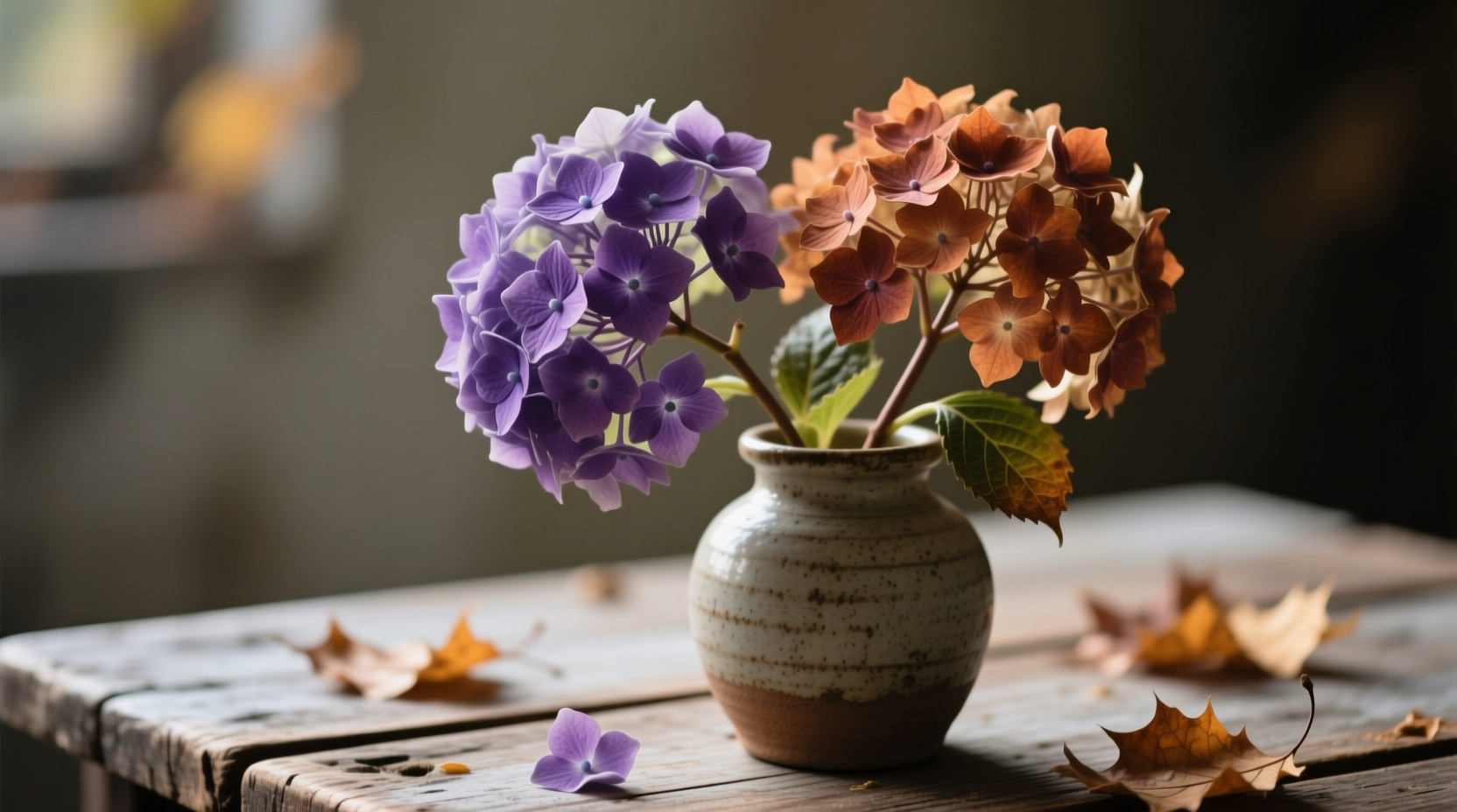 cut back hydrangeas fall