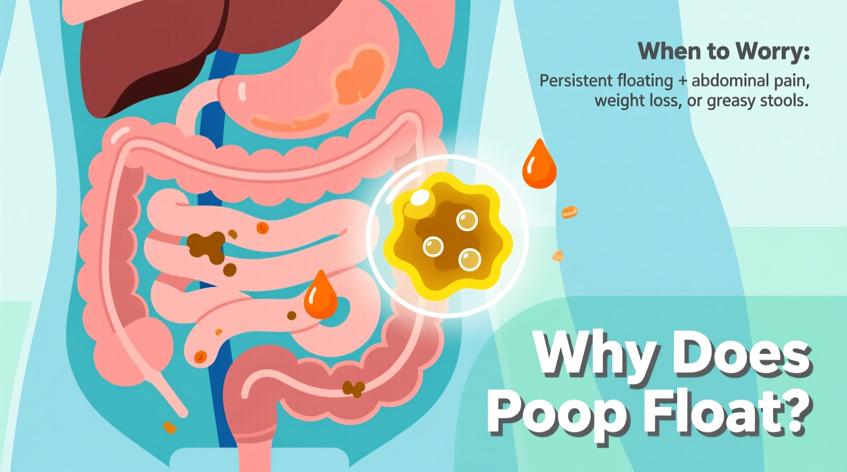 why does my poop float and when should you actually worry about it