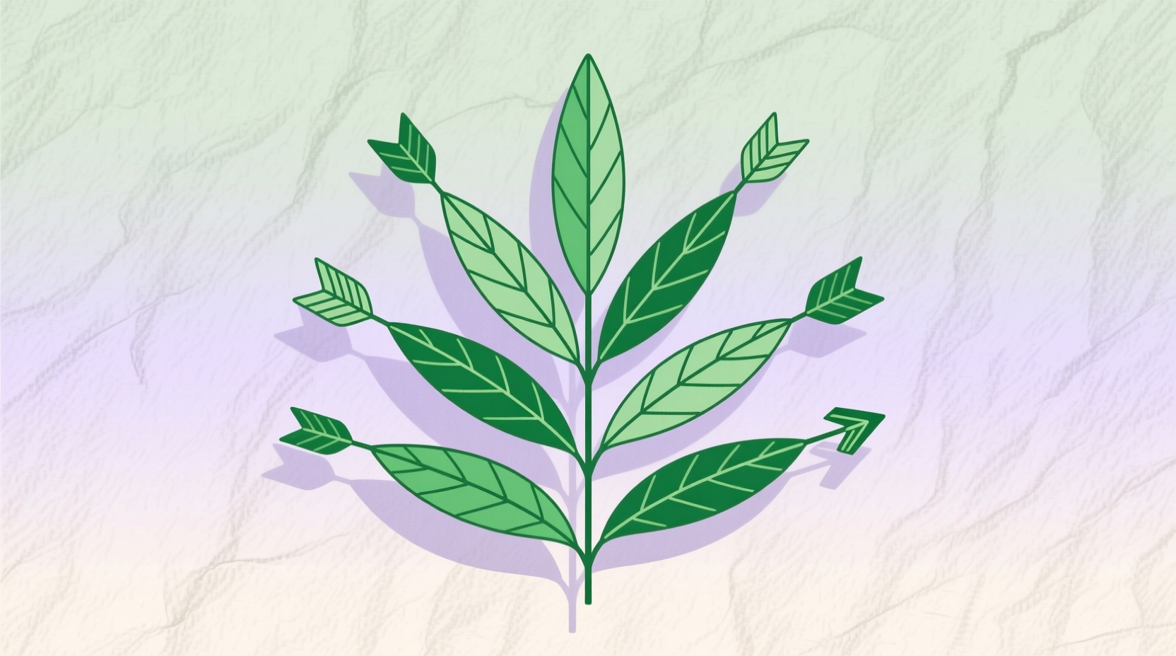 arrow shape leaf plant