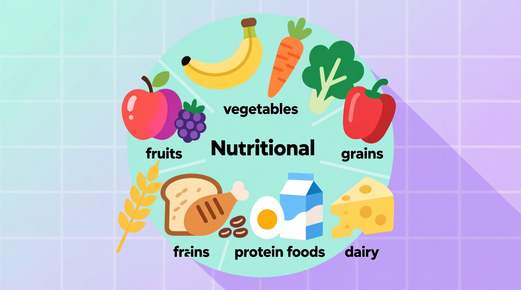What Are the Food Groups: Complete Guide to Balanced Eating
