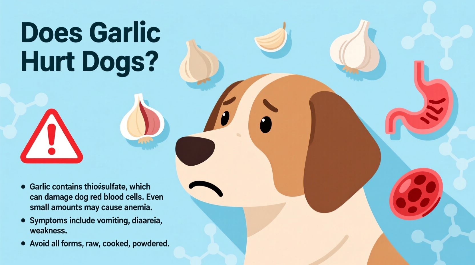 Garlic Is Toxic to Dogs: Immediate Risks and Actions