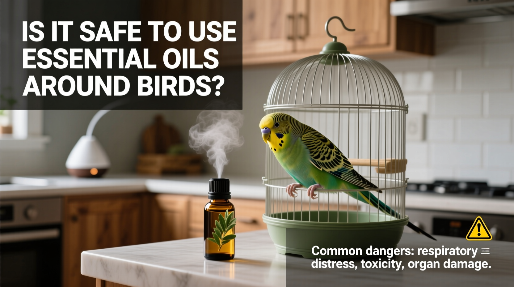 is it safe to use essential oils around birds common dangers