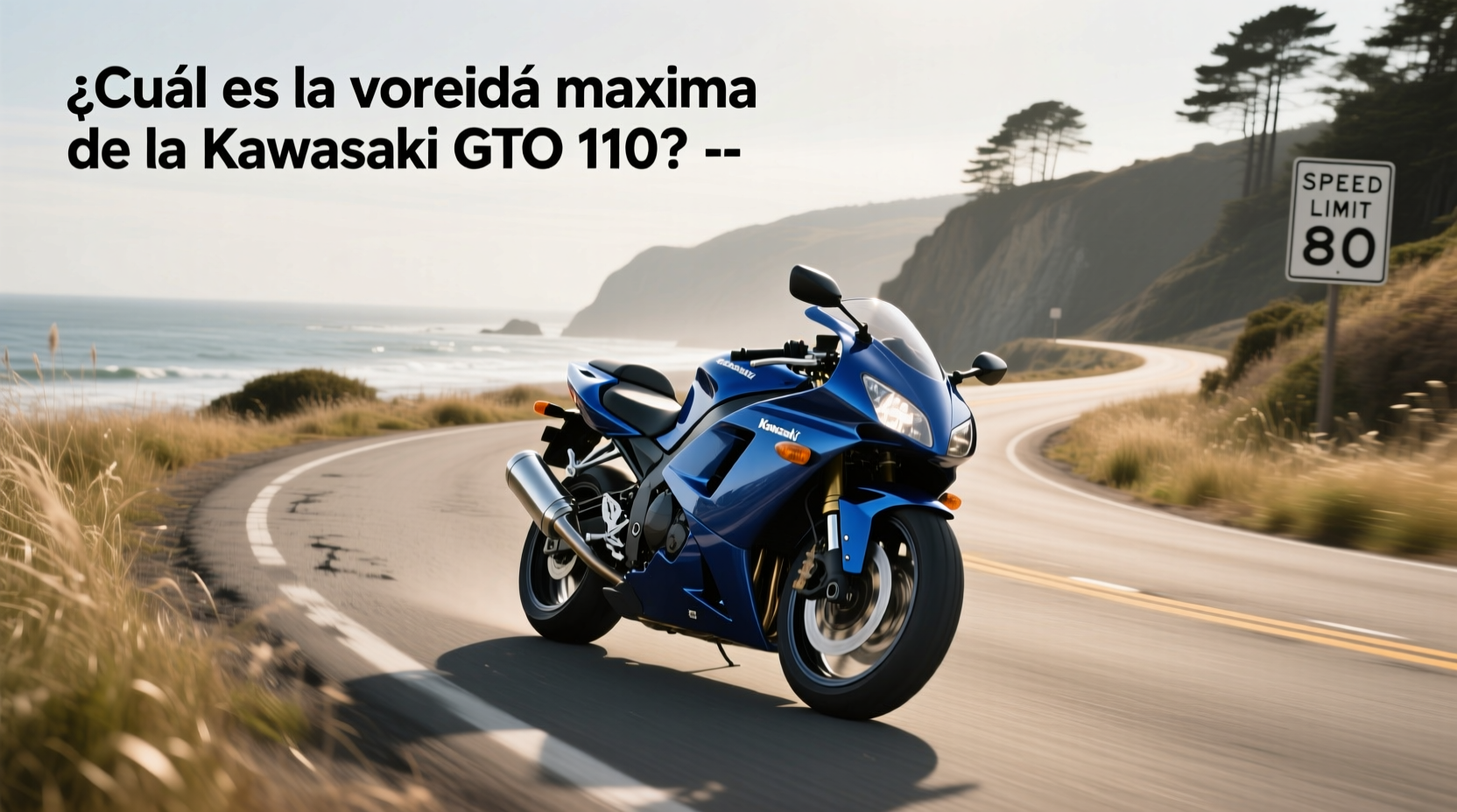 How to Choose Kawasaki GTO 110: Top Speed & Buying Guide