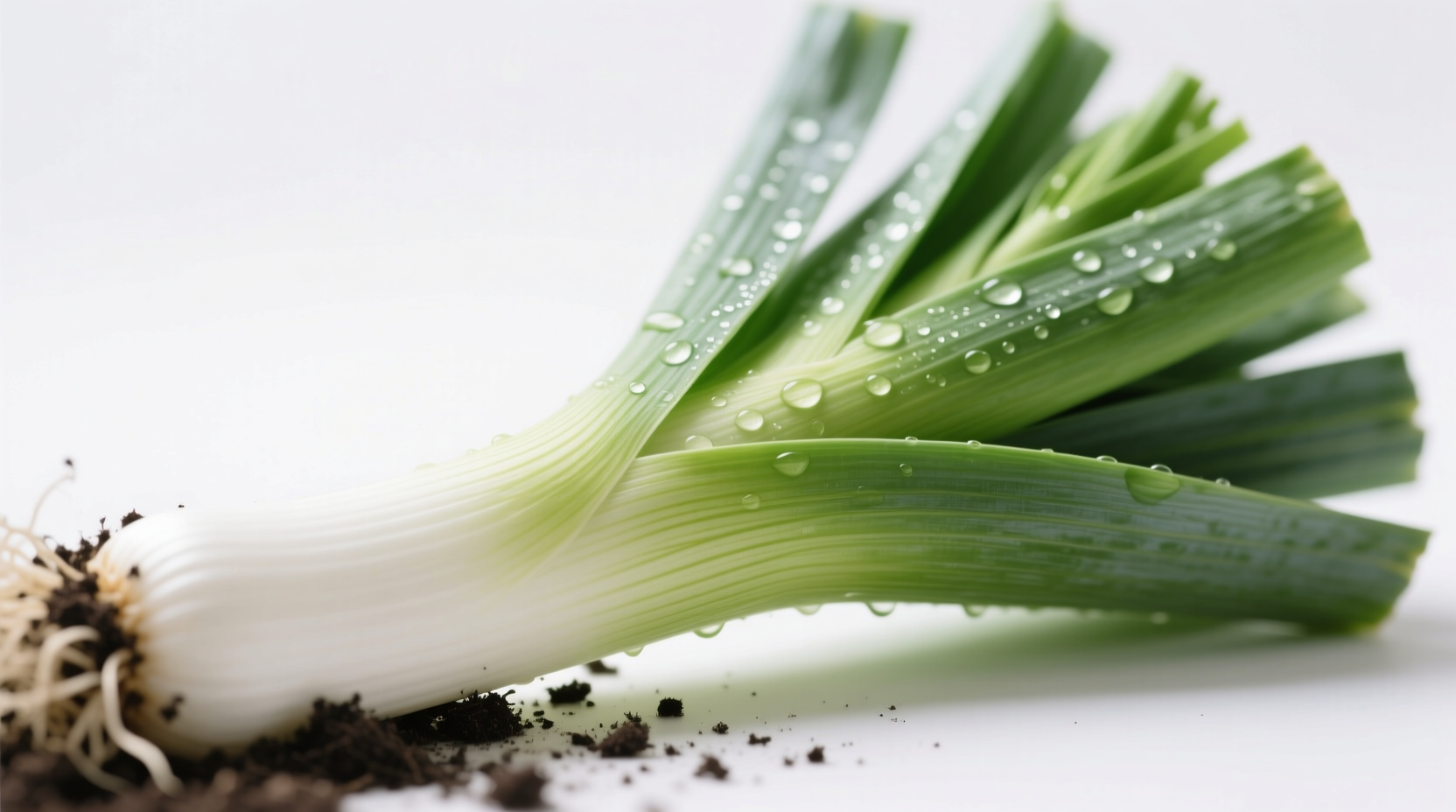 Fresh leeks with soil removed showing white and green parts