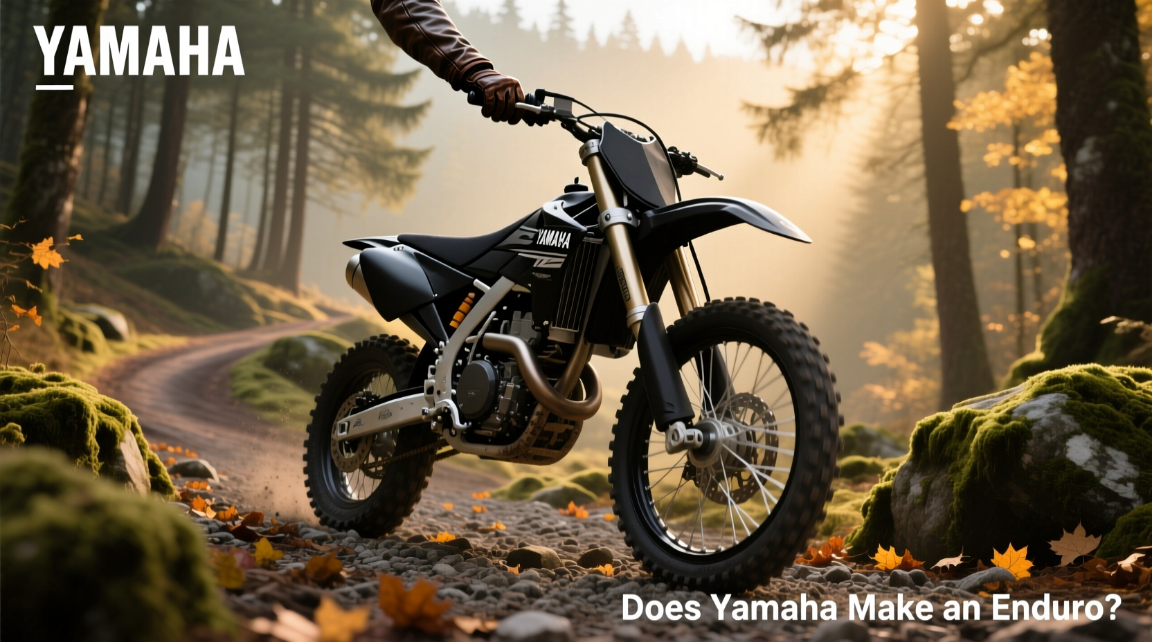 How to Choose a Yamaha Enduro: Buying Guide 2026