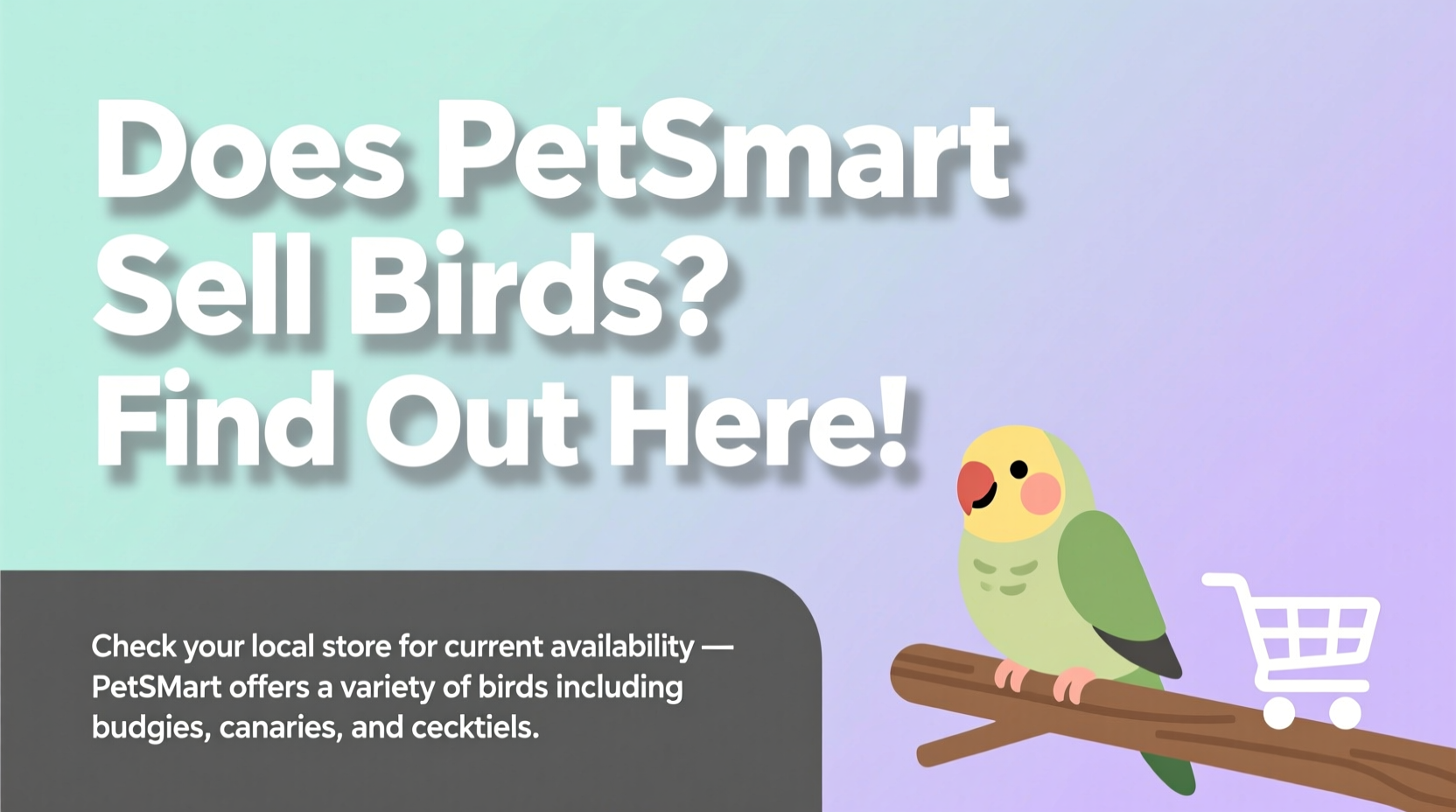 Does PetSmart Sell Birds? Find Out Here