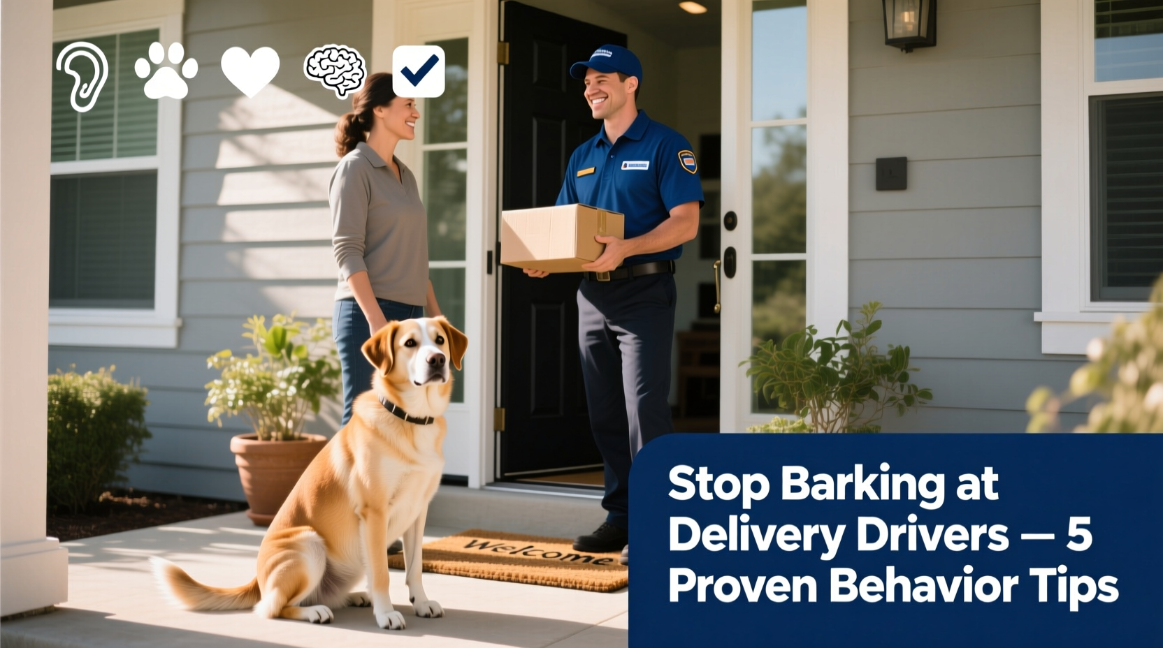 how to stop your dog from barking at delivery drivers behavior modification tips