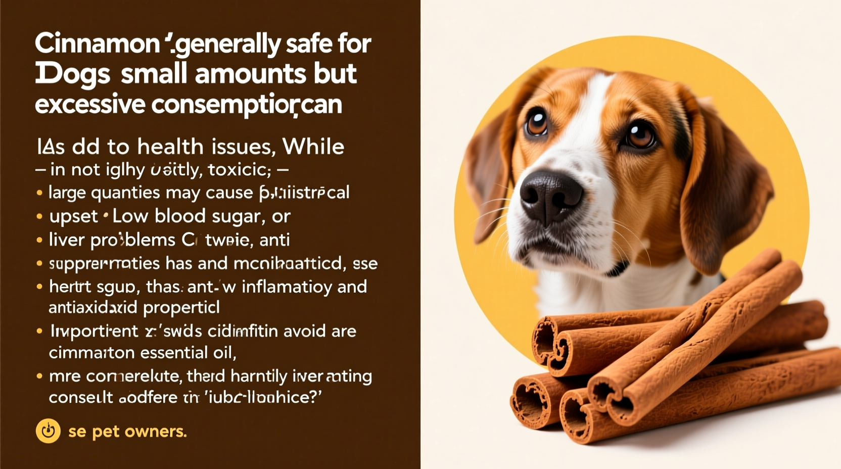 Zimt giftig für Hunde? Die wissenschaftliche Wahrheit