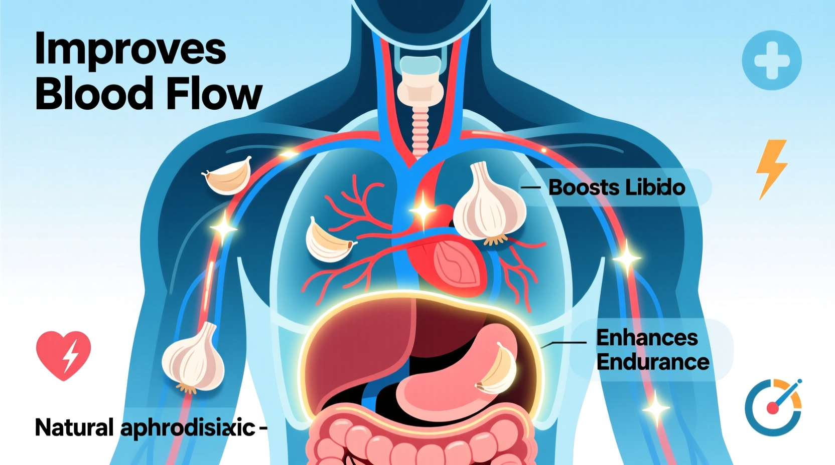 Garlic and Sexual Health: Evidence-Based Benefits Explained