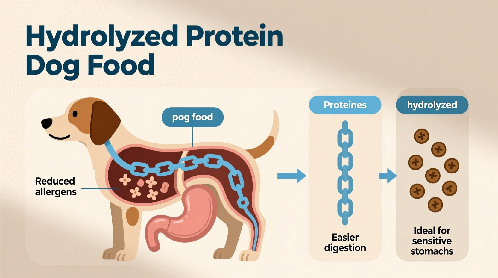 Hydrolyzed Protein Dog Food: Medical Diet Explained