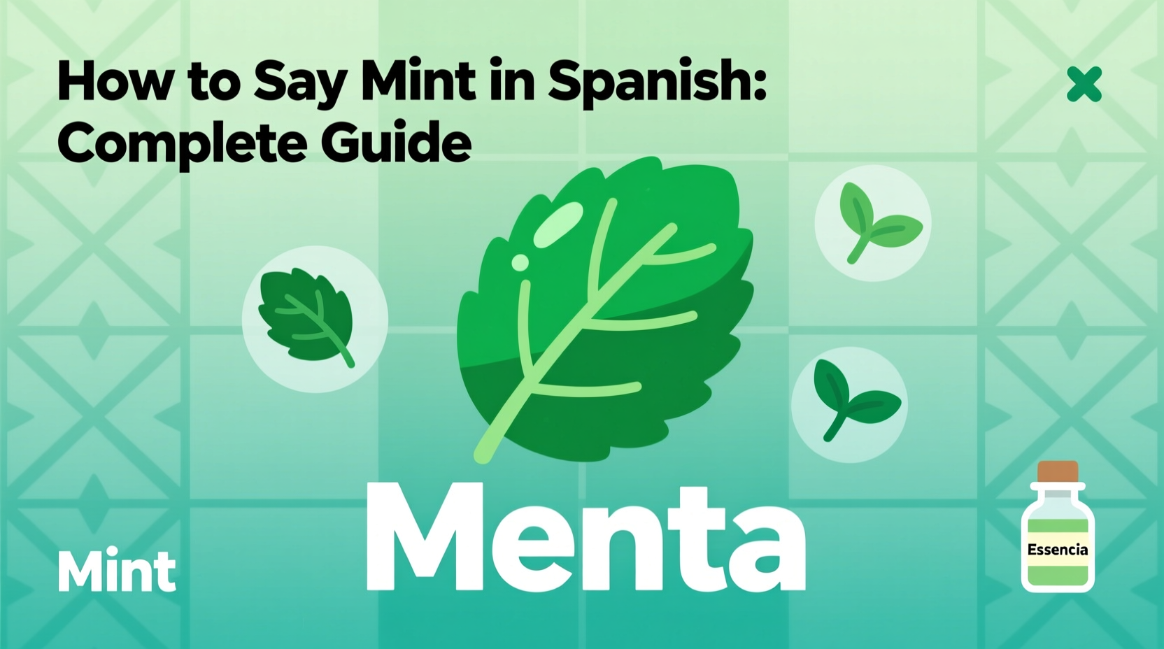 Say Mint in Spanish: 5 Words | TheHomeSprouts