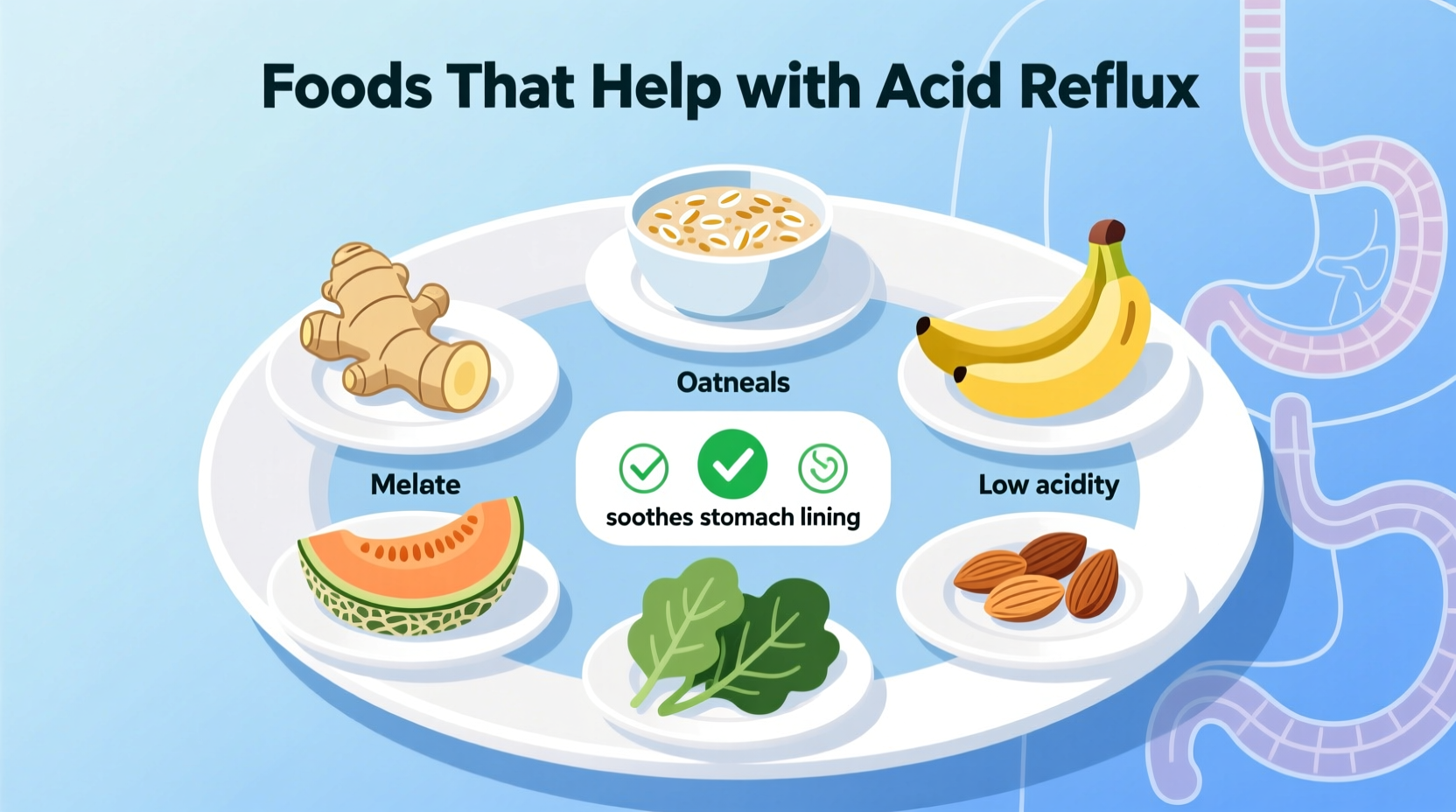 Top Foods That Help With Acid Reflux: Evidence-Based Guide