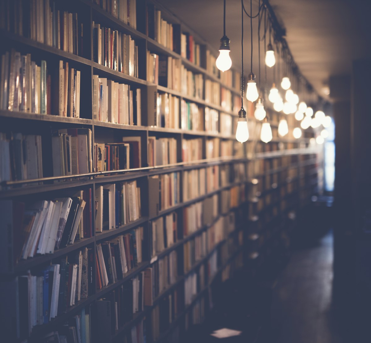 15 Best Books for Reluctant Readers Ages 8-12 (Former Principal Picks)