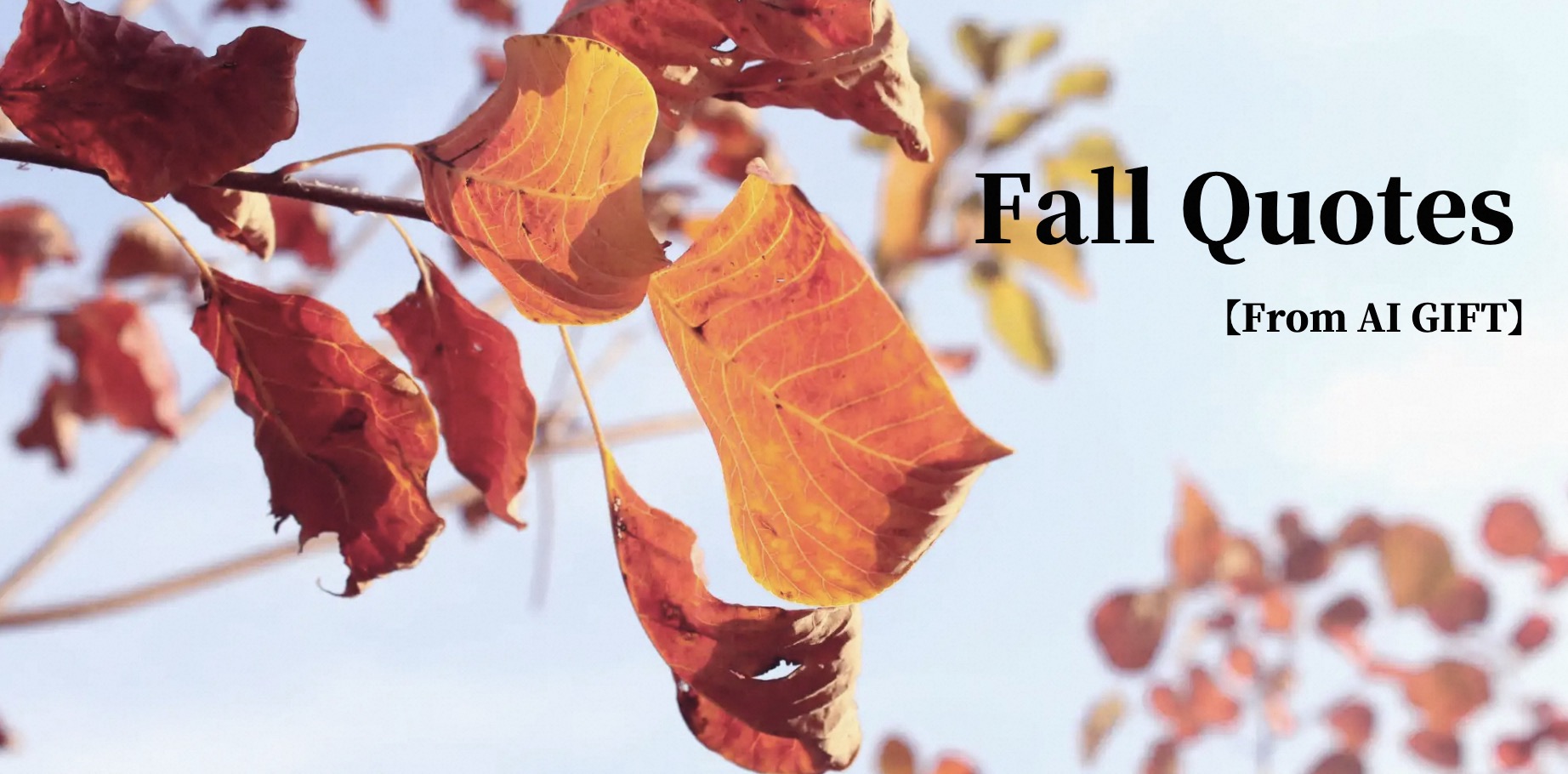 fall quotes