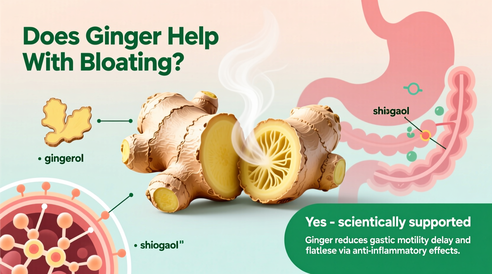 Schritt-für-Schritt-Zubereitung von Ingwertee für Blähungen