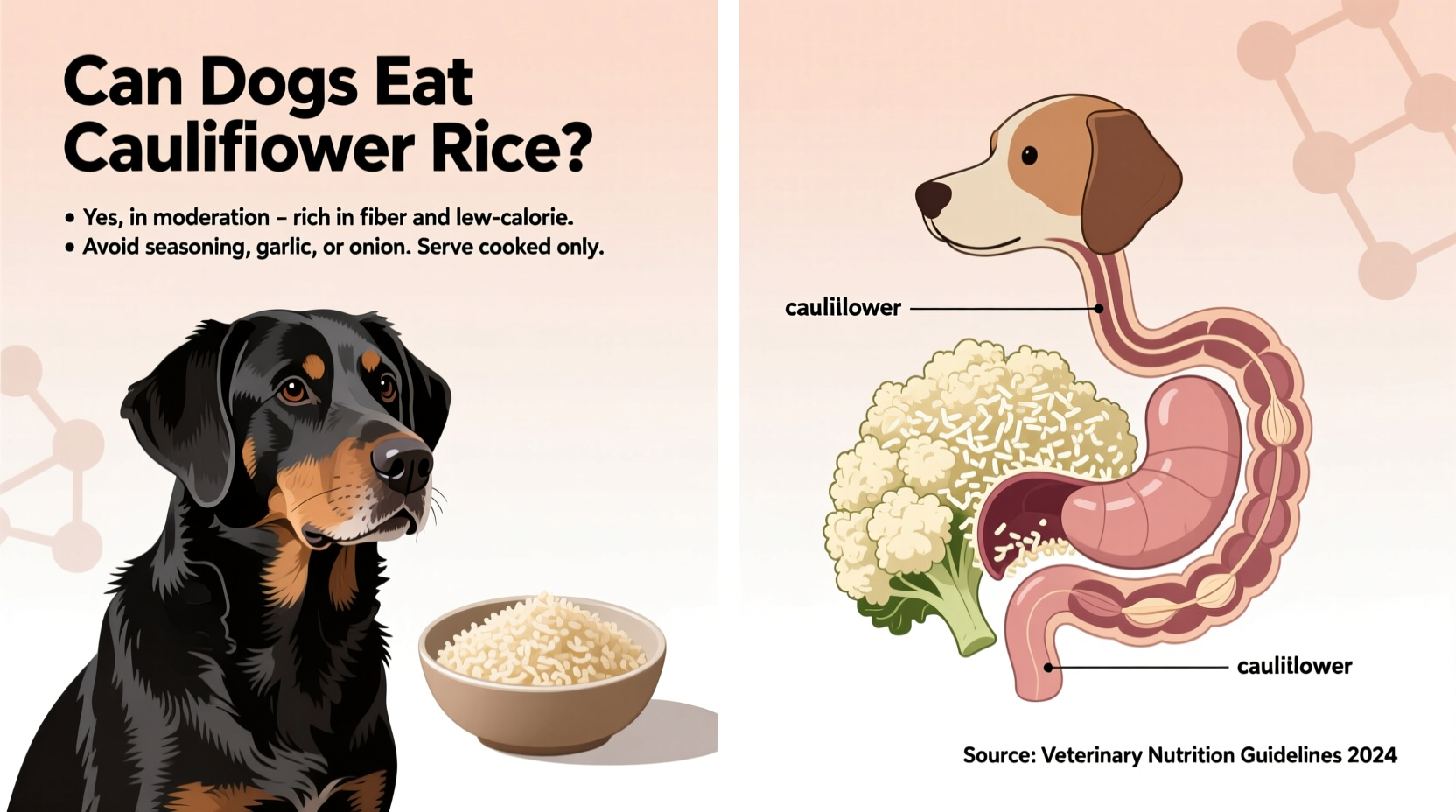 Can Dogs Eat Cauliflower Rice? Vet-Approved Facts