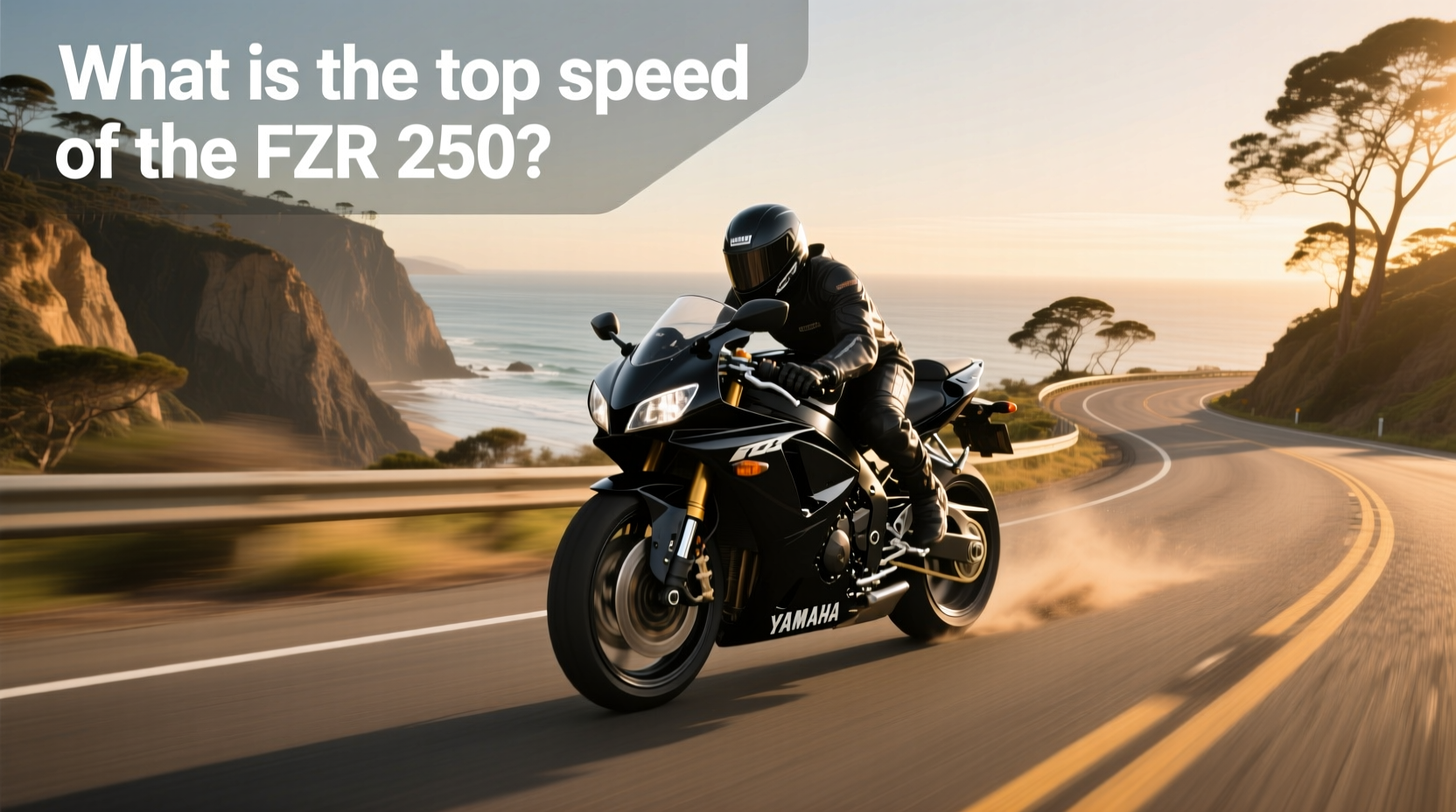 How to Choose Yamaha FZR 250: Top Speed & Buying Guide