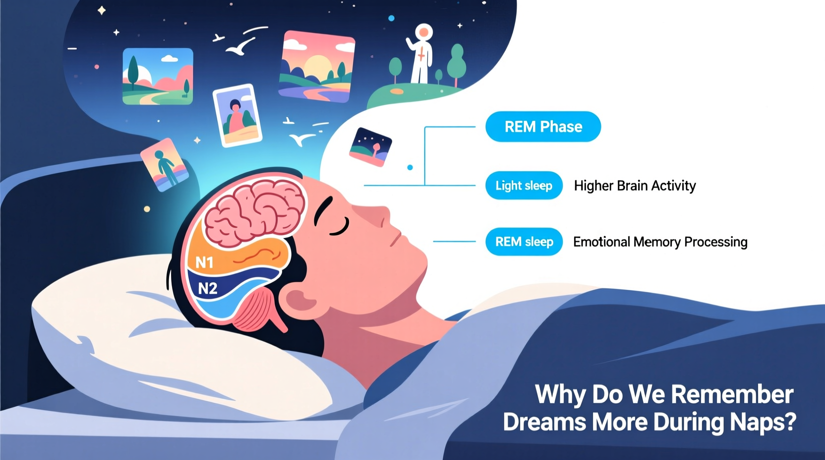 why do i remember dreams more when i nap science of sleep cycles