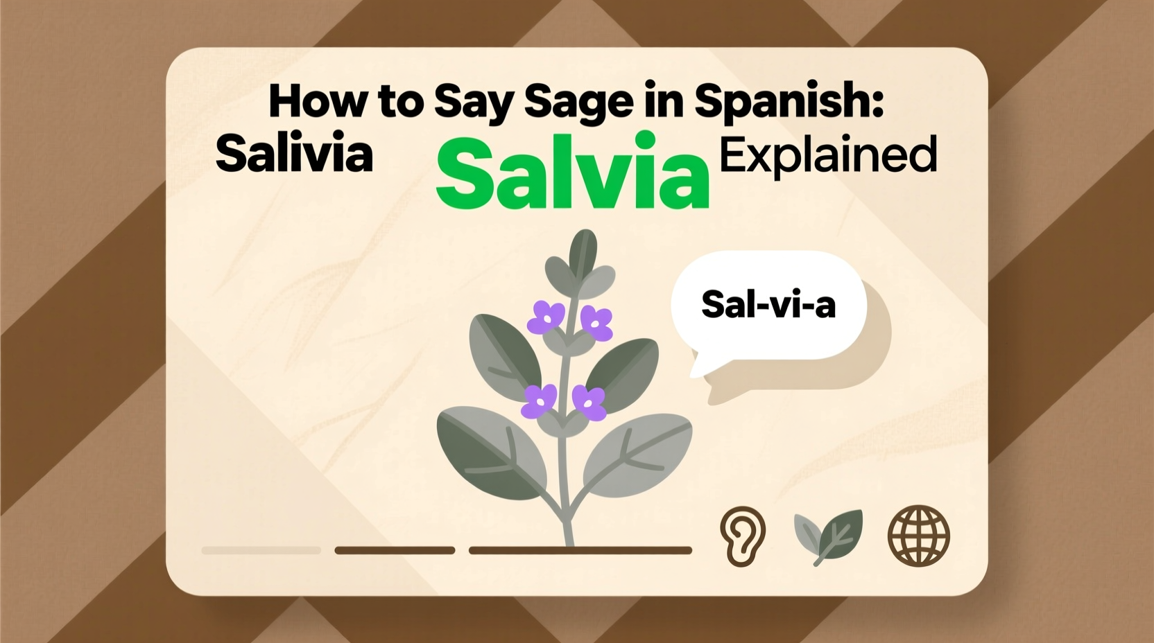 Sage in Spanish: 2 Words Explained | TheHomeSprouts