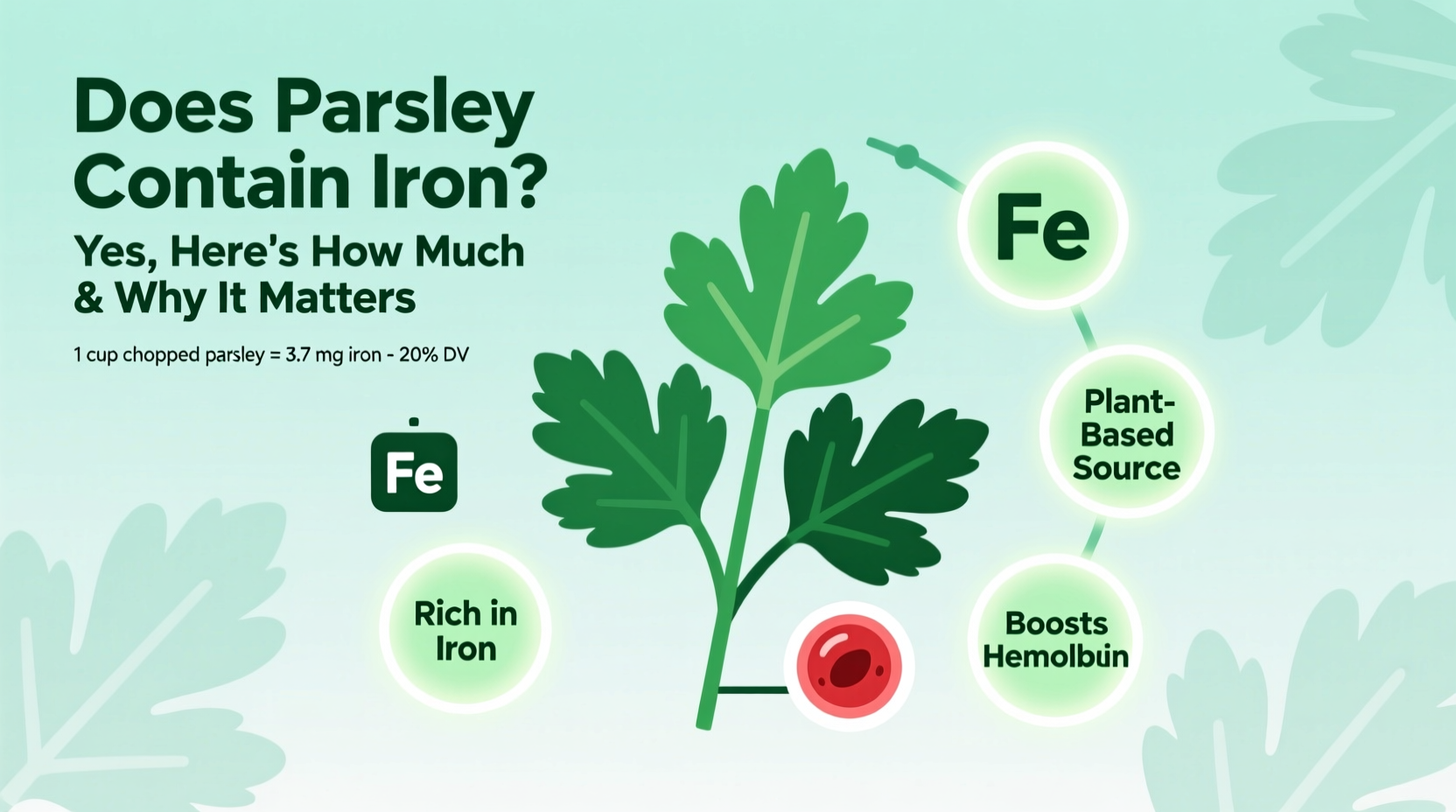 Parsley Iron Content: 4x More Than Spinach | TheHomeSprouts