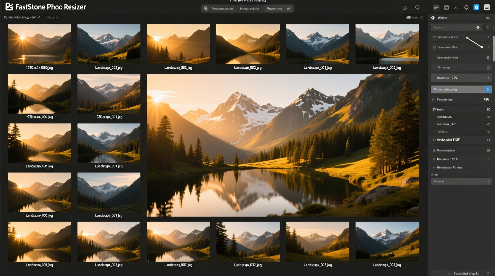 batch process images with faststone photo resizer