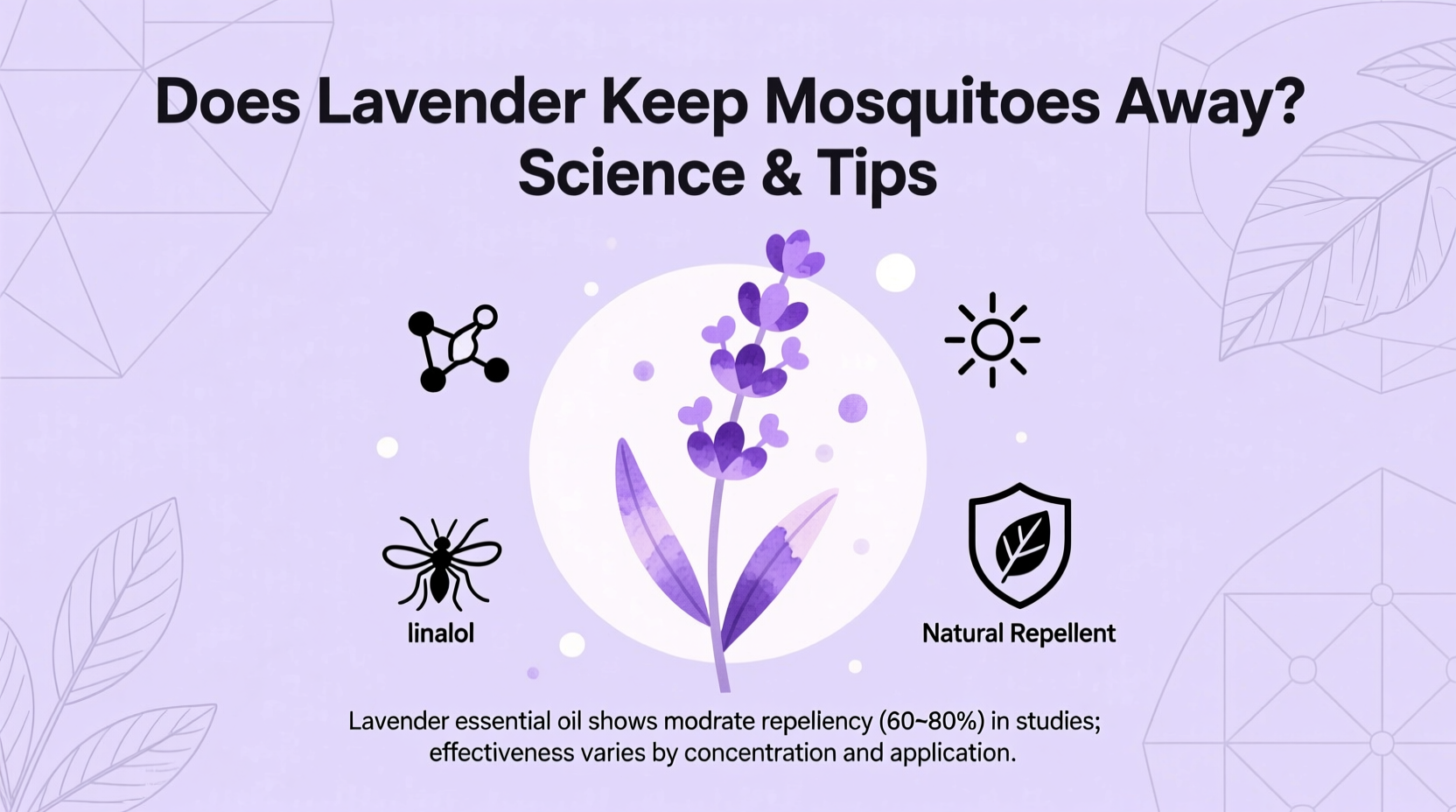 Do Lavender Keep Mosquitoes Away