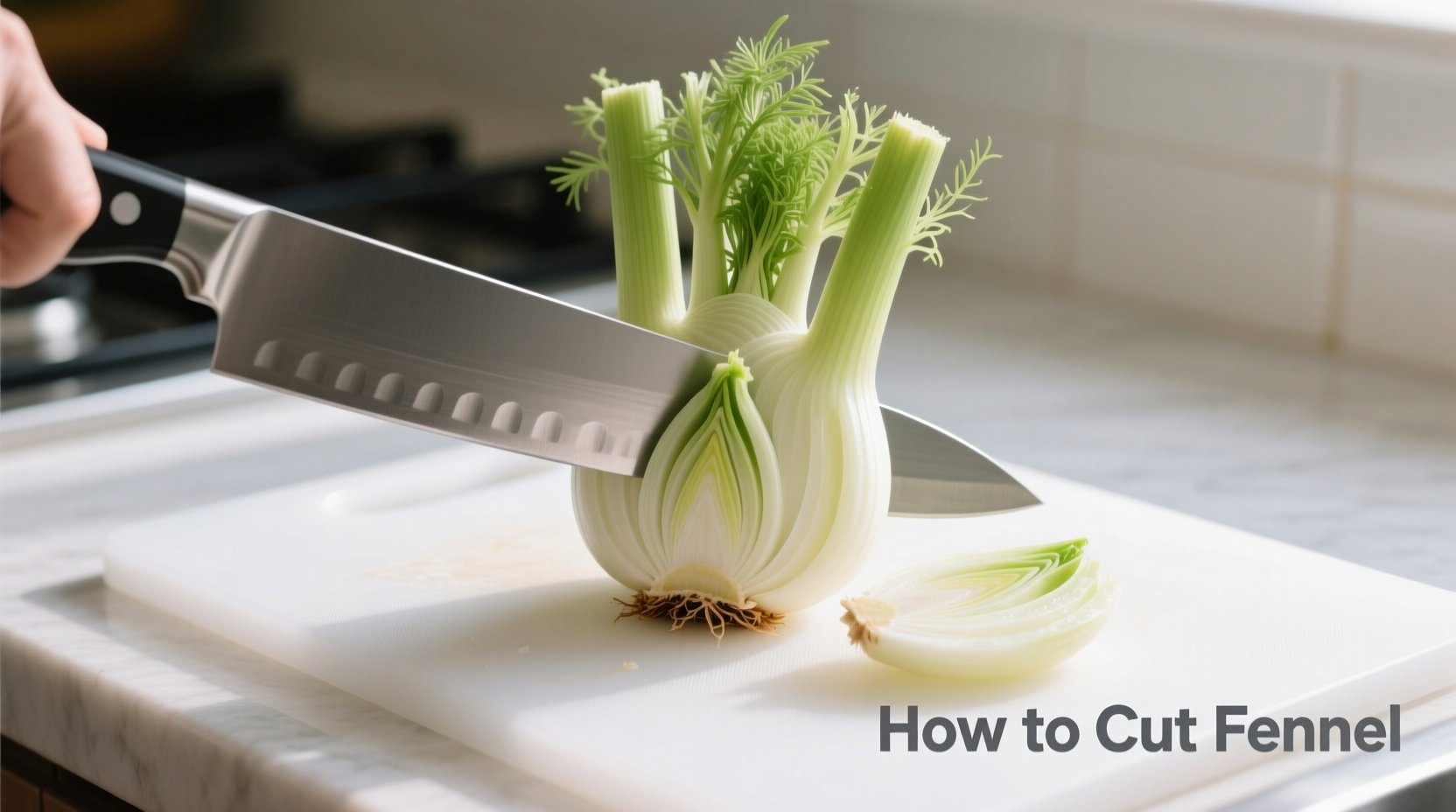 Fenchelspalten für den Grill