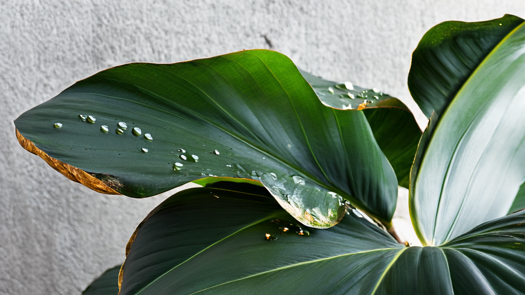 Soil pH Testing and Adjustment Guide 2026