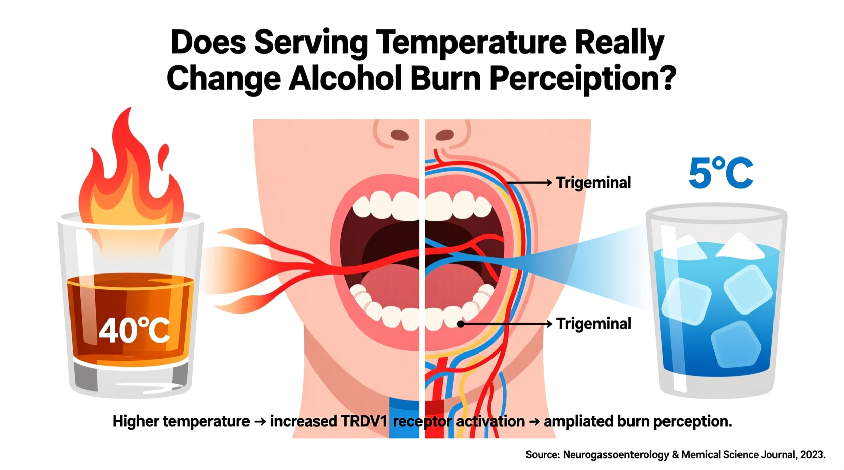 does serving temperature really change alcohol burn perception explained