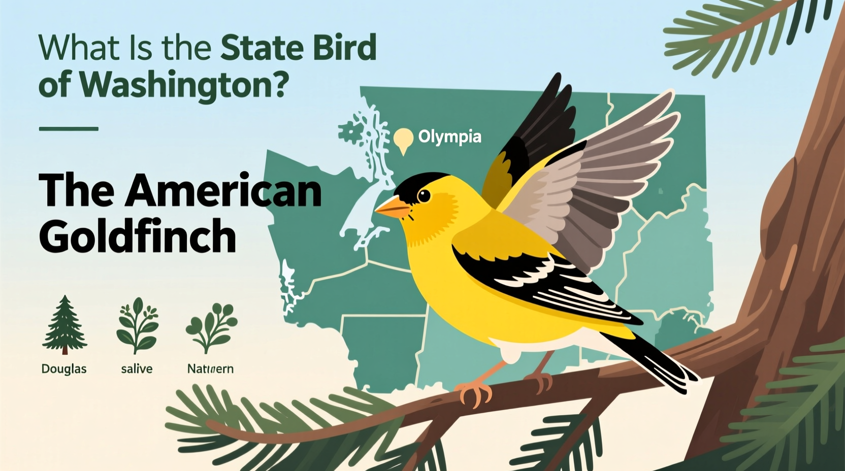 what is the state bird of washington