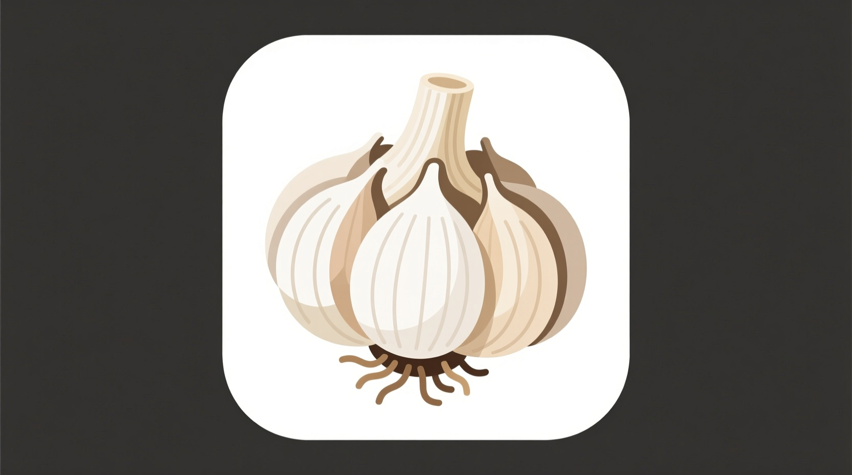 Fresh garlic bulb clipart in vector format
