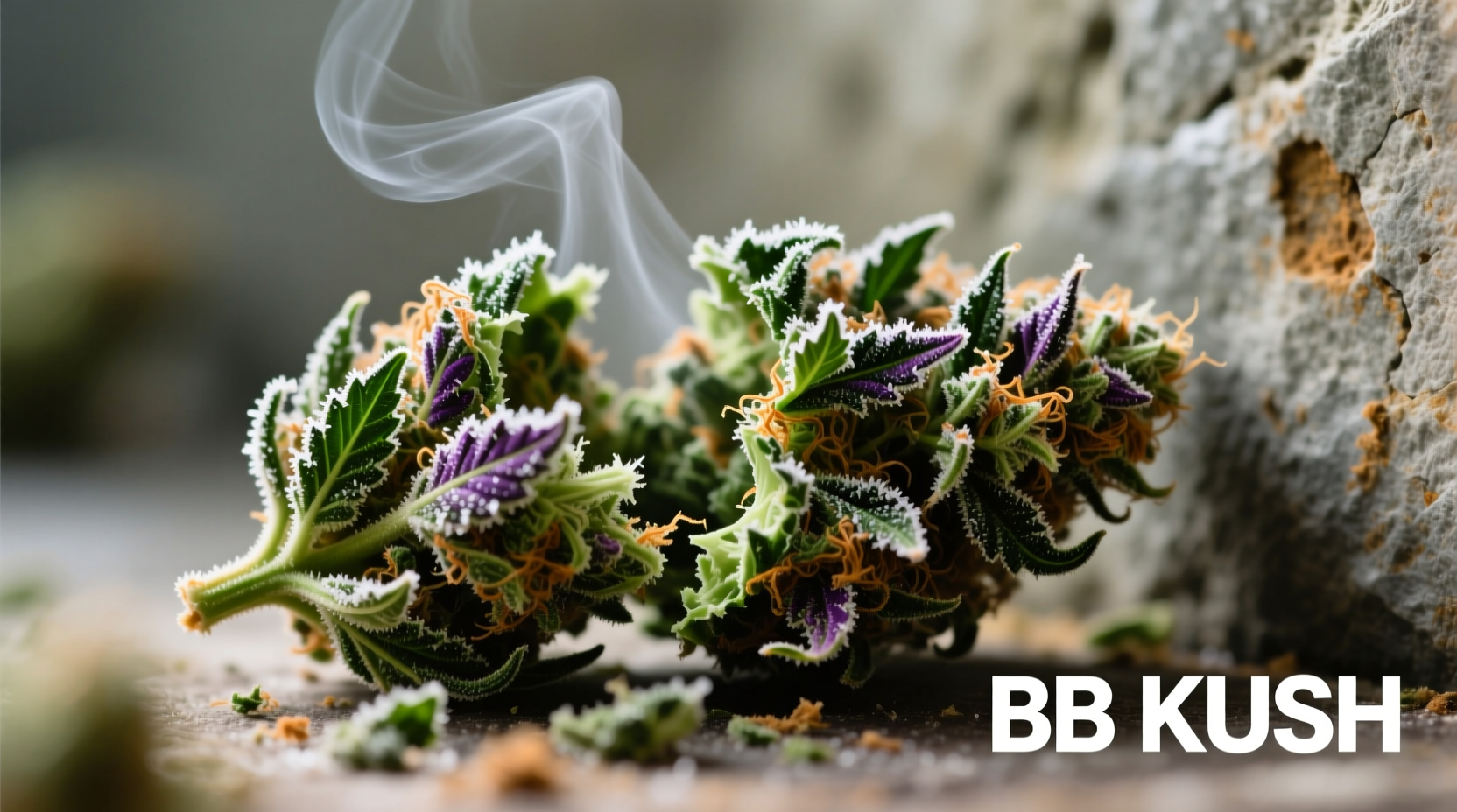 what is bb kush taste like