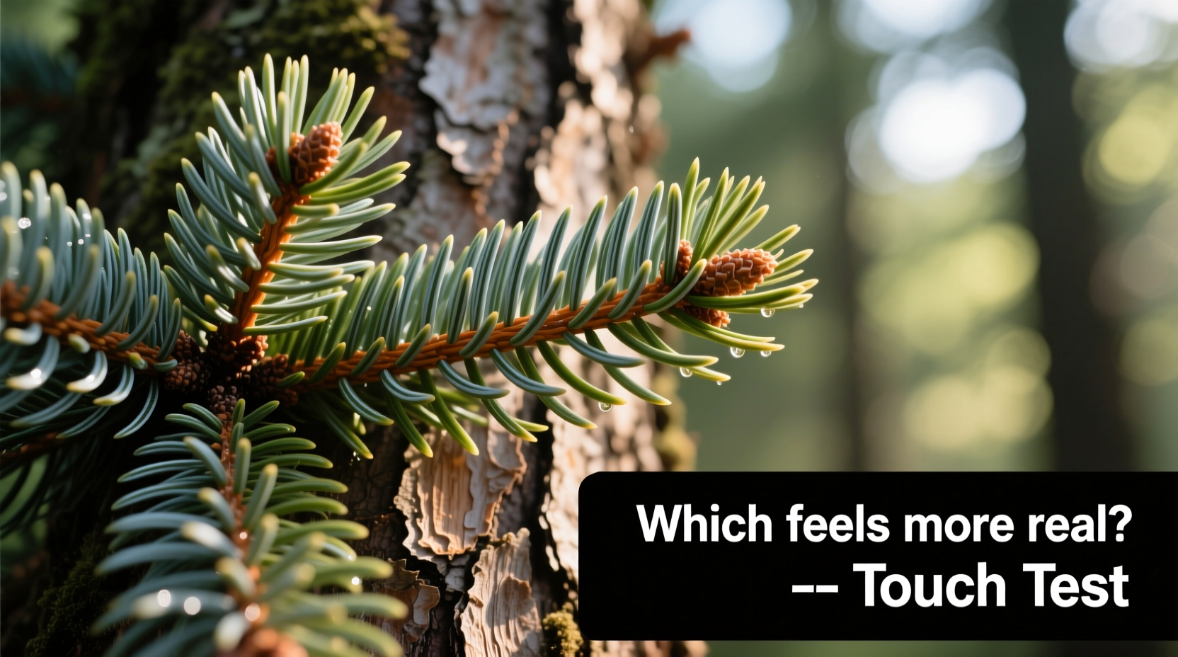 artificial pine vs spruce texture trees which feels more realistic to touch