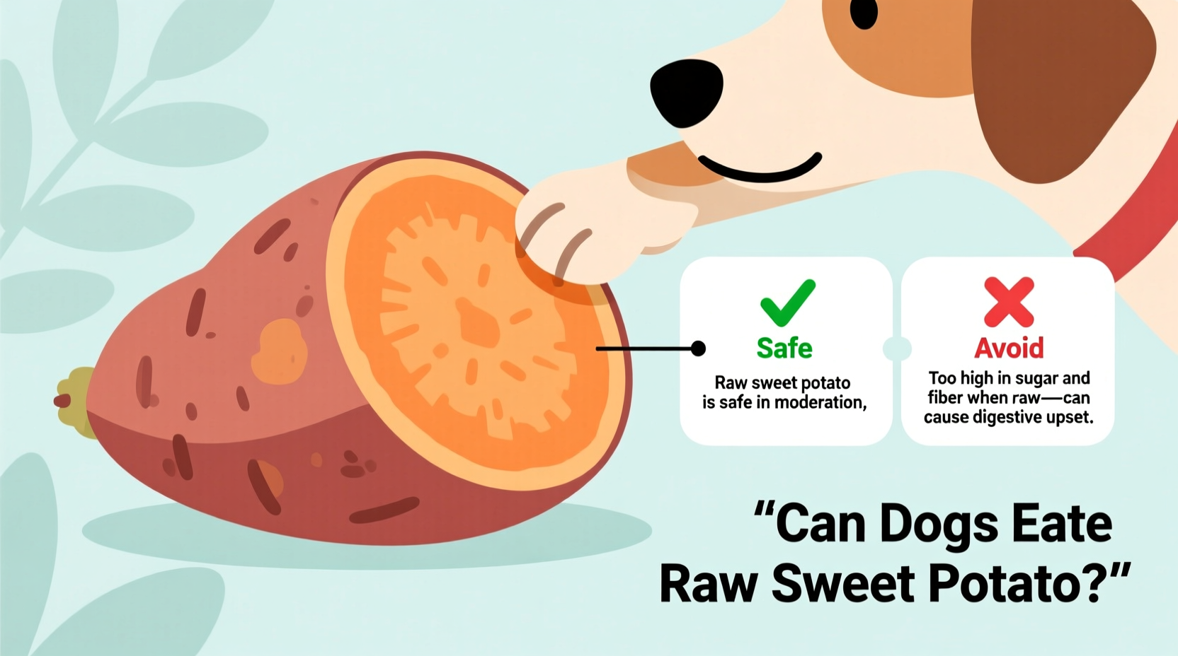 Can Dogs Eat Raw Sweet Potato? Vet-Approved Safety Guide