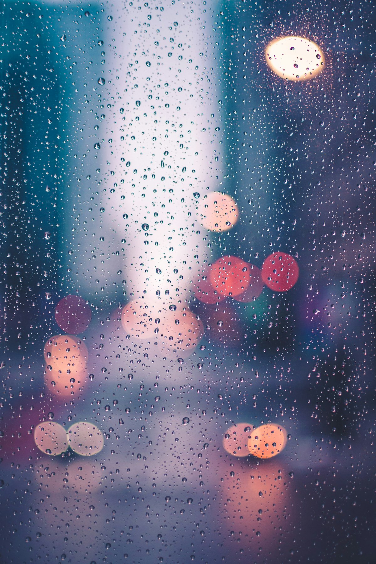 Rainy Day Outdoor Activities: 18 Ways Kids Can Still Have Fun Outside