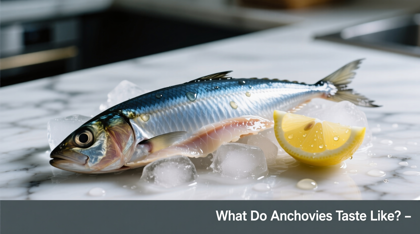 what do anchovies taste like