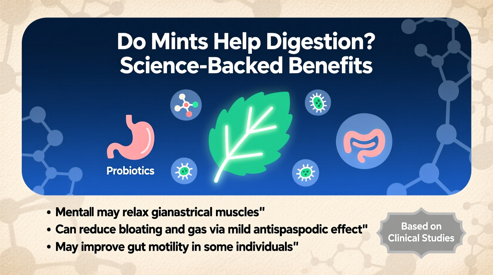 5 Ways Mints Aid Digestion | TheHomeSprouts