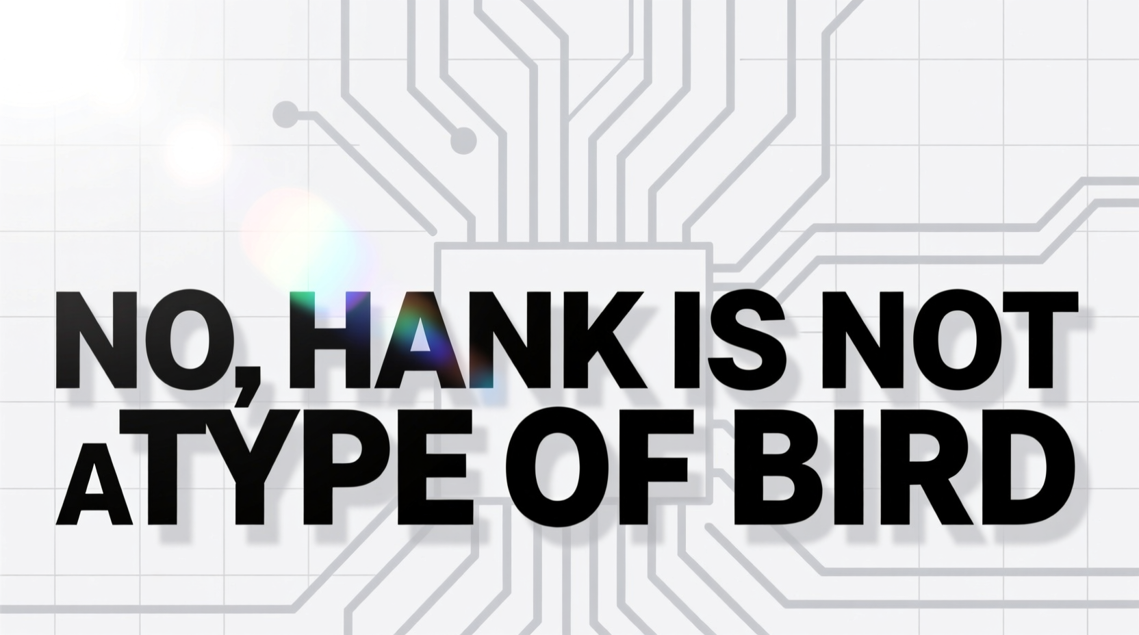 No, Hank Is Not a Type of Bird