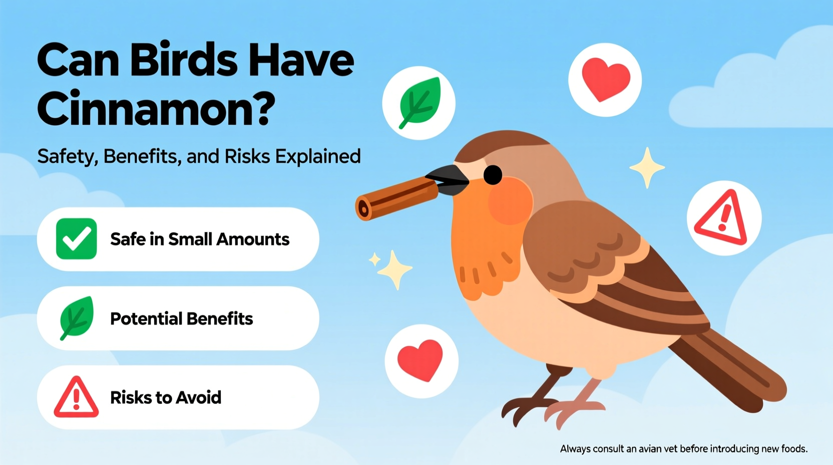 can birds have cinnamon