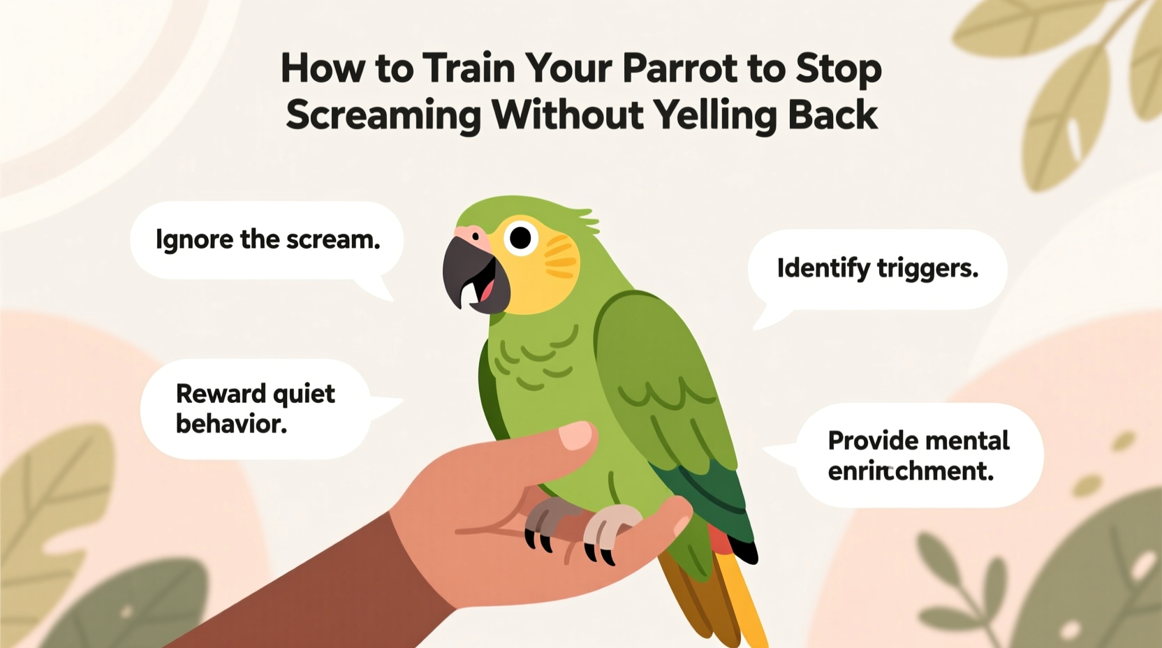 how to train your parrot to stop screaming without yelling back expert tips