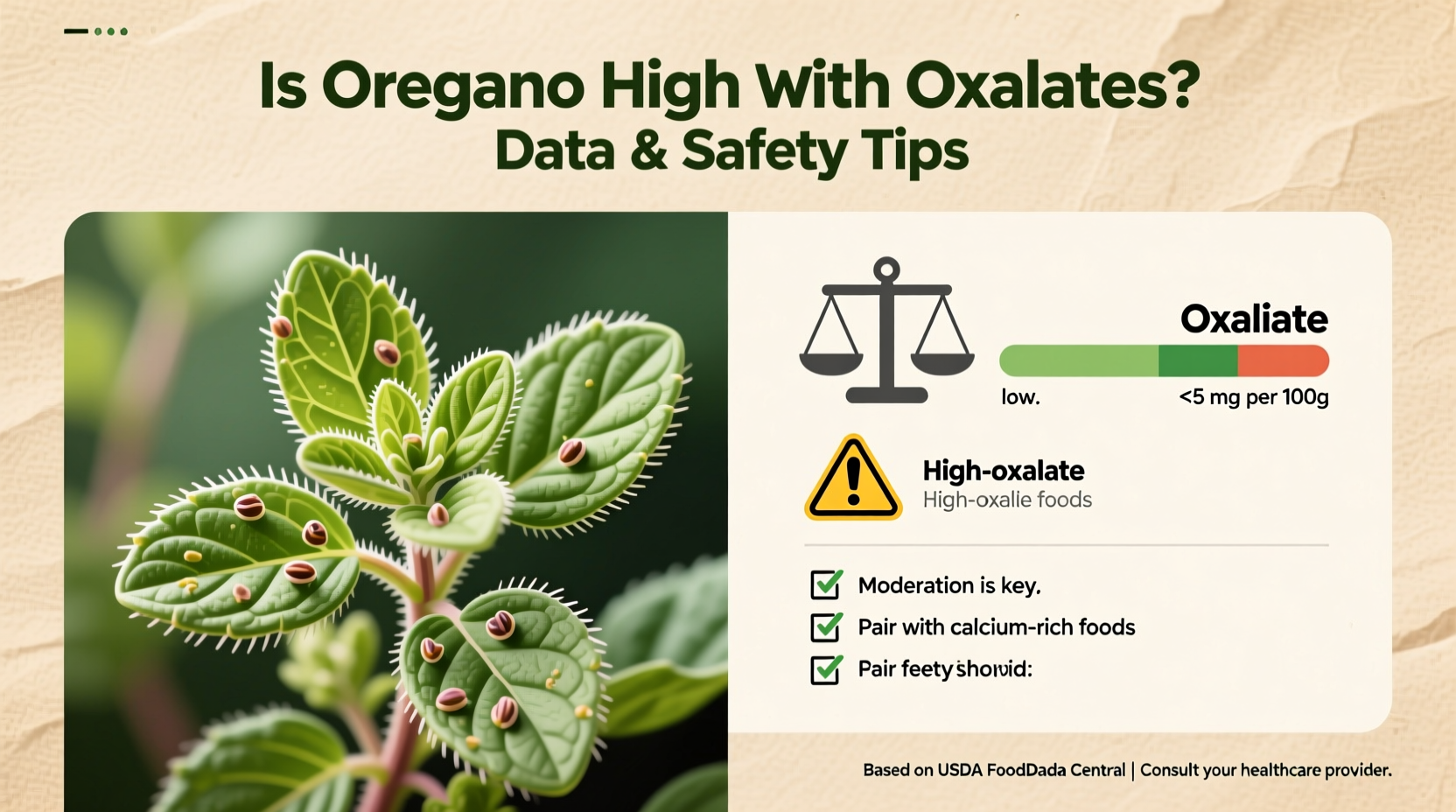 Oregano Oxalates: 5 Safety Tips | TheHomeSprouts