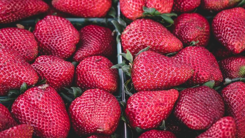 Super Bowl Halftime Show Performers: Complete List from 2010 to 2026