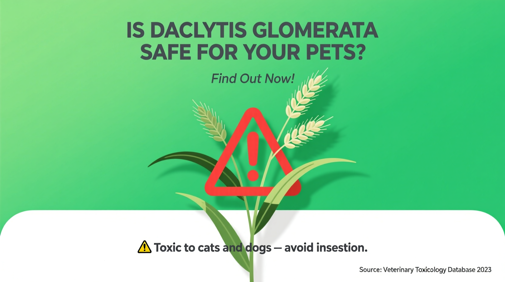 Is Dactylis Glomerata Safe for Your Pets? Find Out Now!