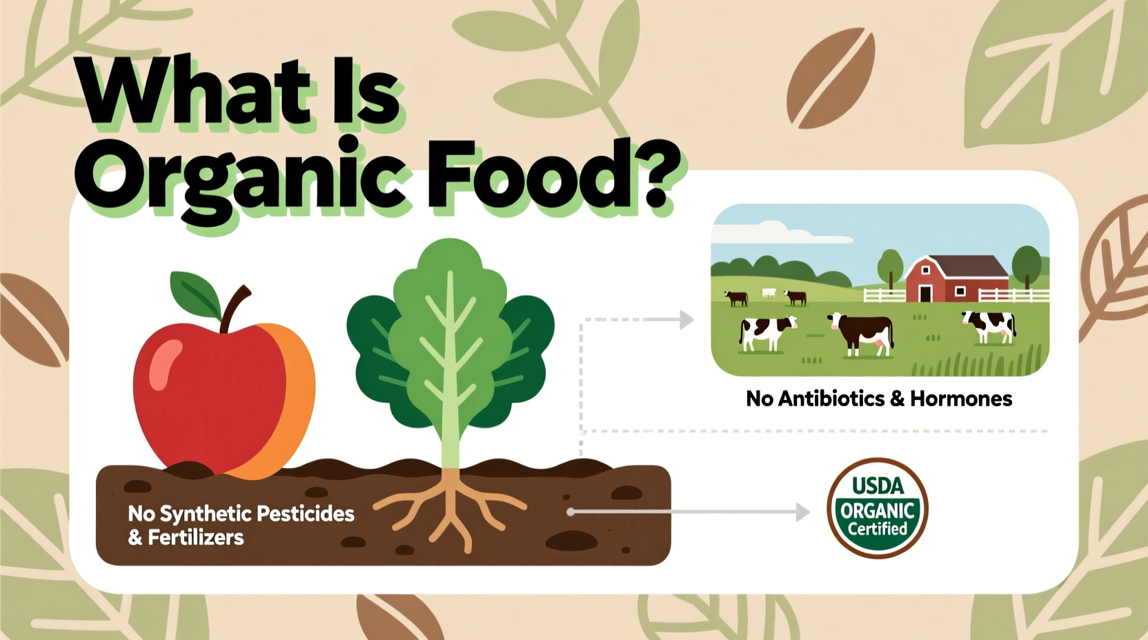 Organic Food Definition: Official Standards Explained
