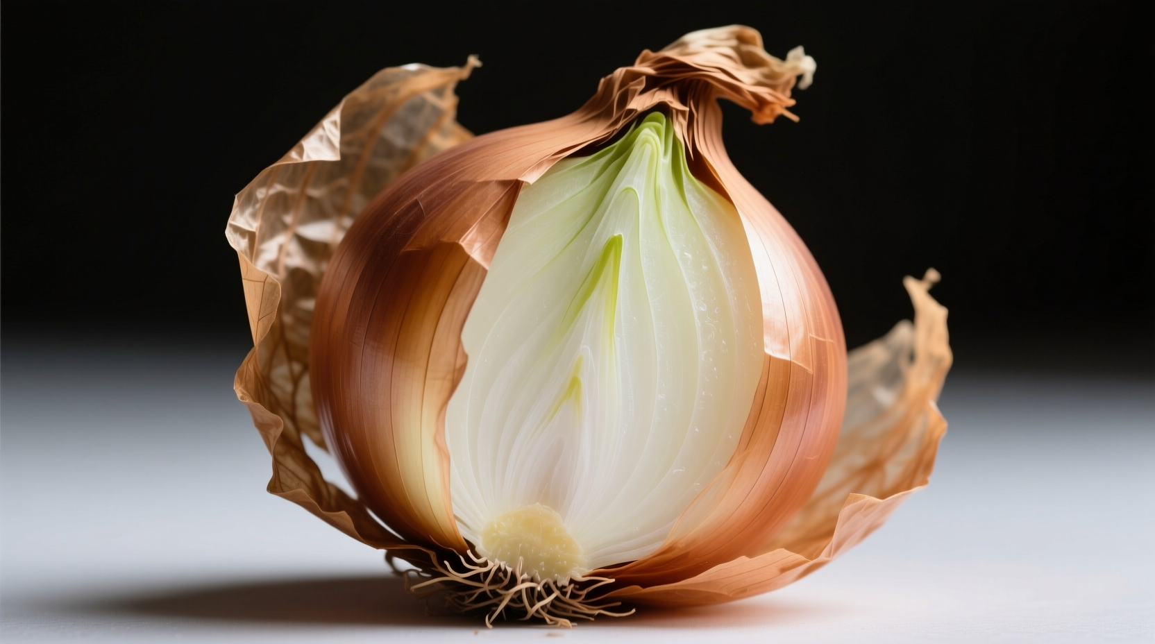 what is the outer layer of an onion called